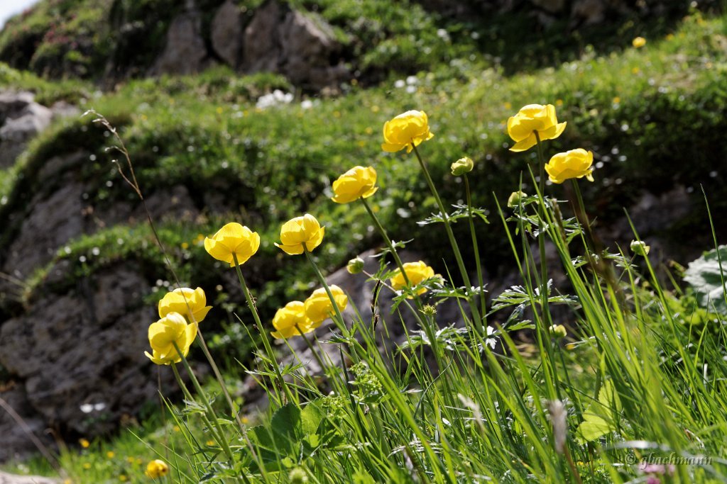 20120630_206